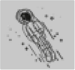 image-20261015175513349